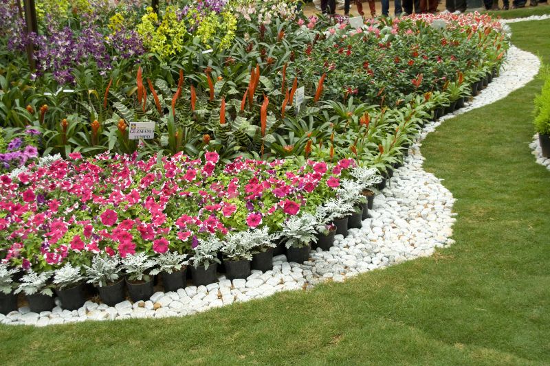 Backyard Curbing Service