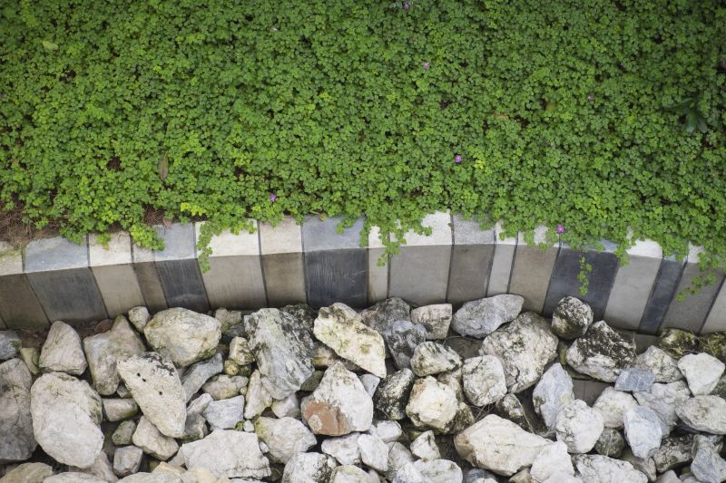 Backyard Curbing Service