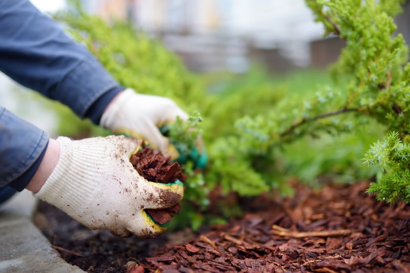 Brown Mulch Installation in Honolulu, HI