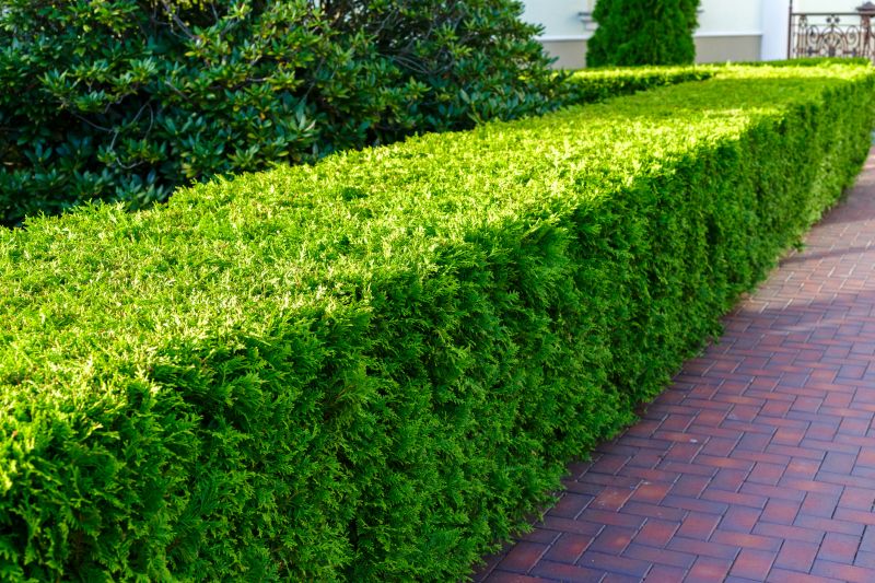 Bush Installation in Ventura County, CA