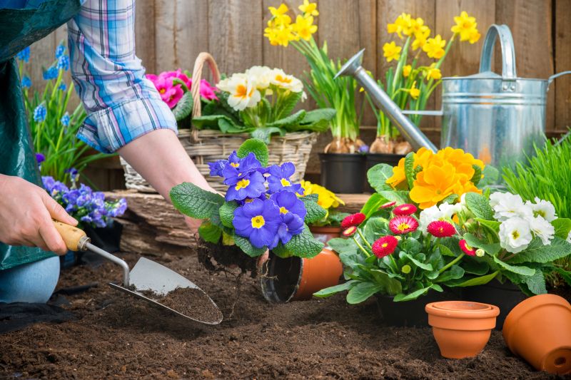 Garden Care Service in Honolulu, HI
