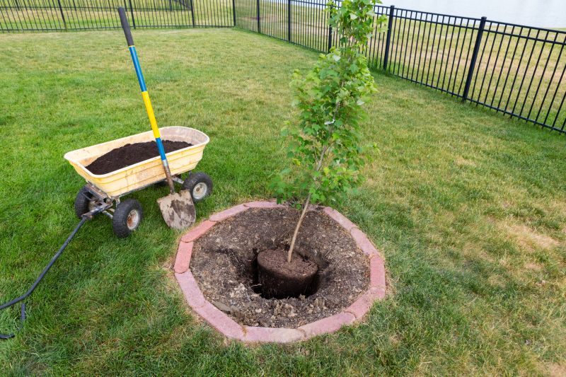 Ornamental Tree Planting in Ventura County, CA