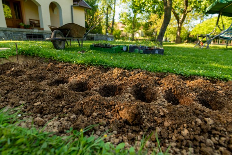 Planting Service in Honolulu, HI
