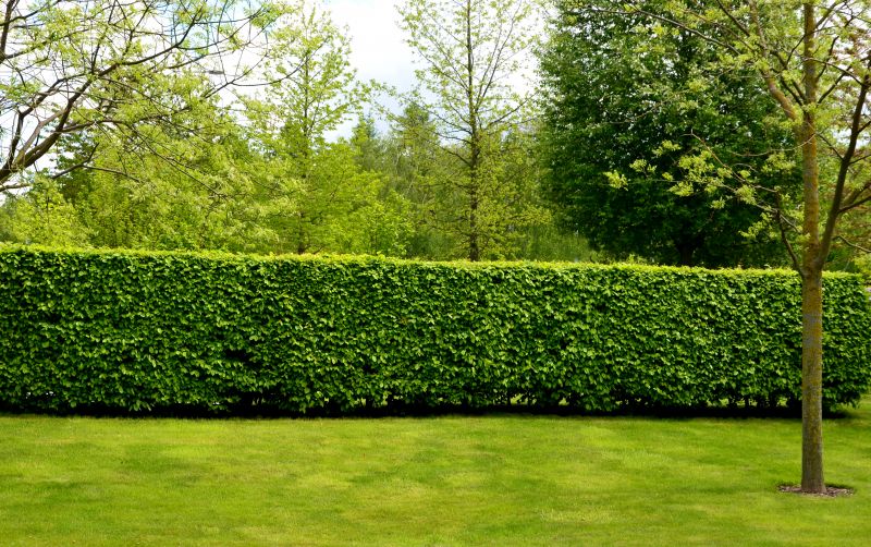 Softscaping Service in Ventura County, CA