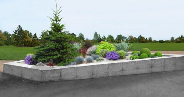 Backyard Landscape Curbing